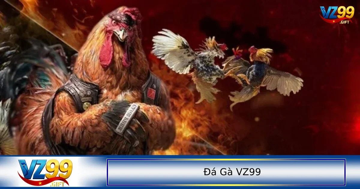 Top những nền tảng chơi đá gà uy tín nhất hiện nay